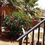 Hibiscus Rosso