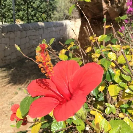 Hibiscus Rosso 度假居 多纳卢卡他